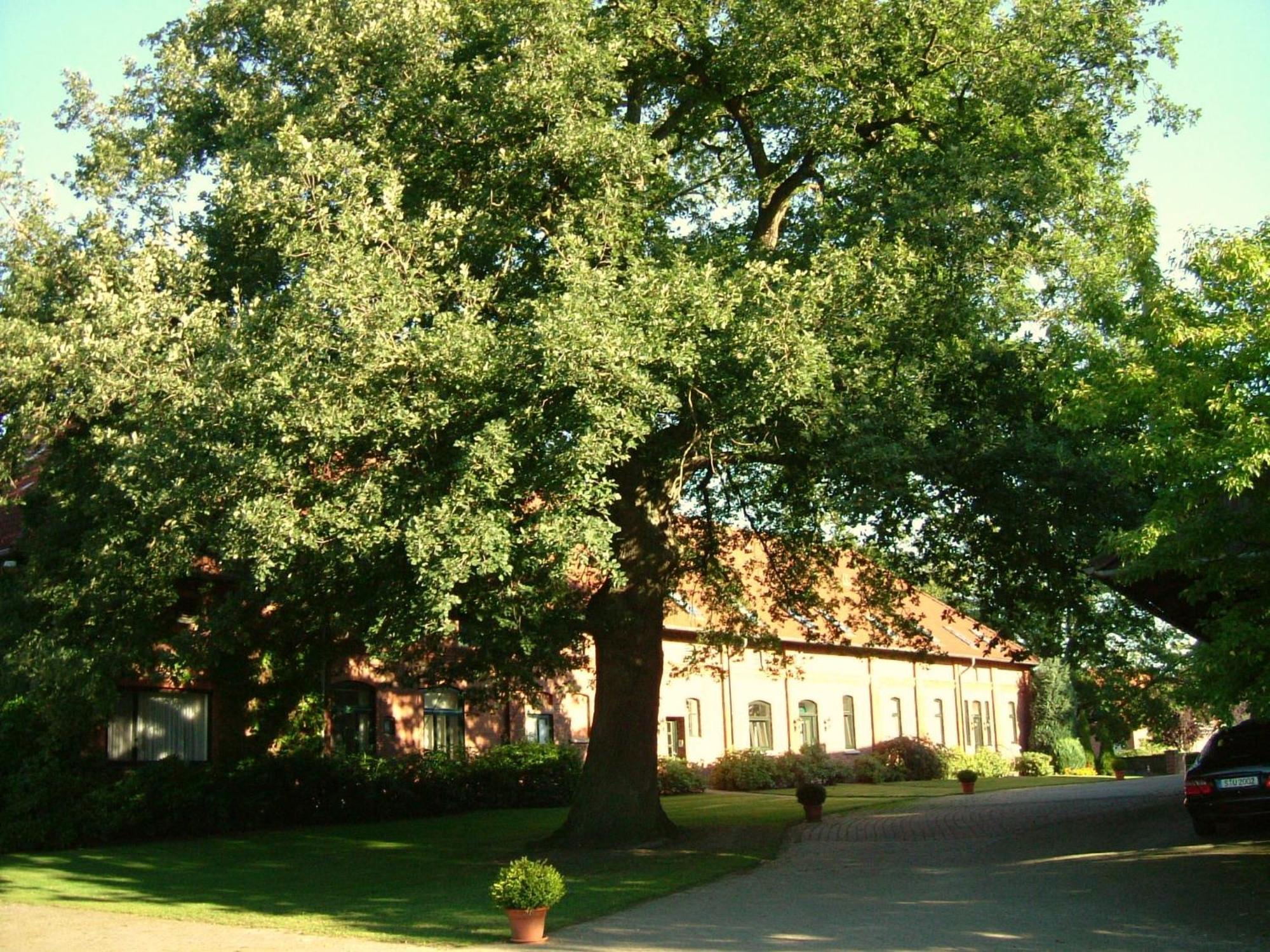 Gaestehaus Schlossgarten Etelsen المظهر الخارجي الصورة